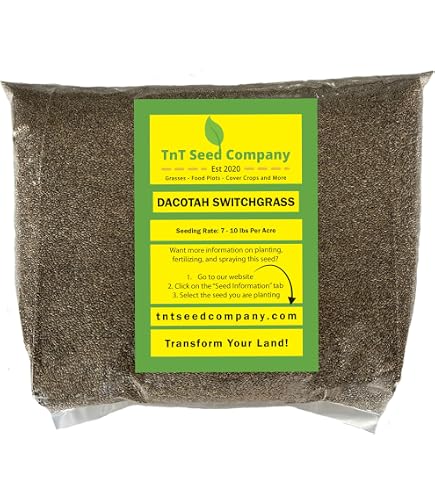 Amazon.com : TnT Seed Company RC Big Rock Switchgrass Seed for